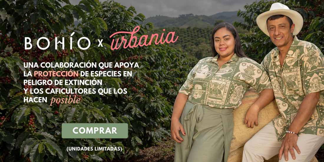 Urbania x Bohío