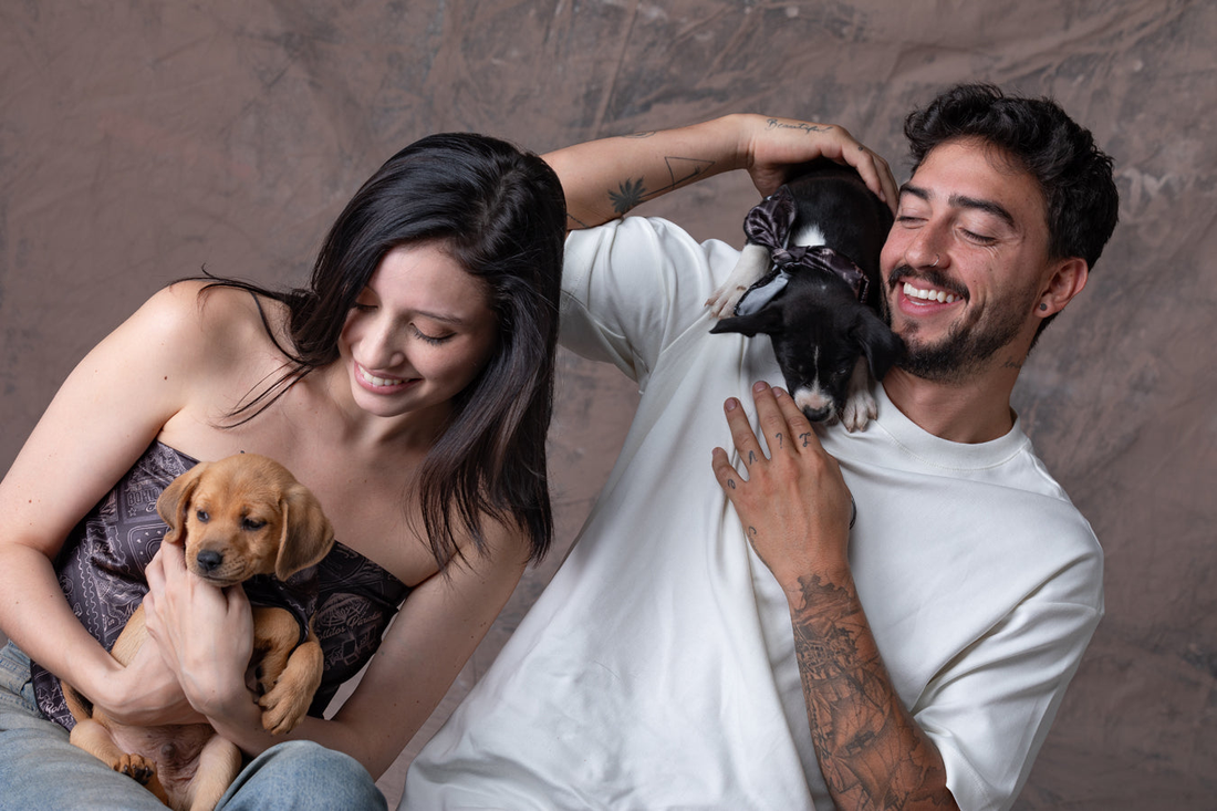 Perritos Y Gaticos Dunan X Bohío