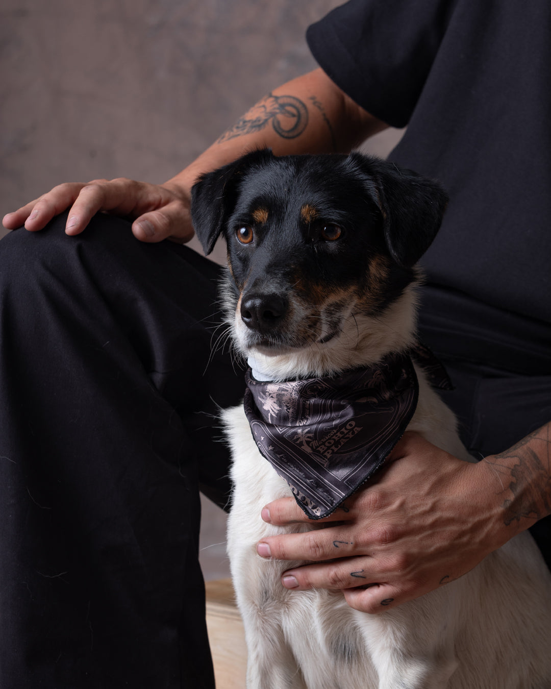 Pañoleta Mascota Raza Grande Dunan X Bohio (Tela Eco)